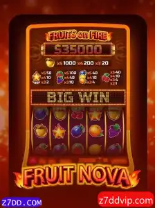 Descubra o Mundo de FruitNova: Um Guia Completo